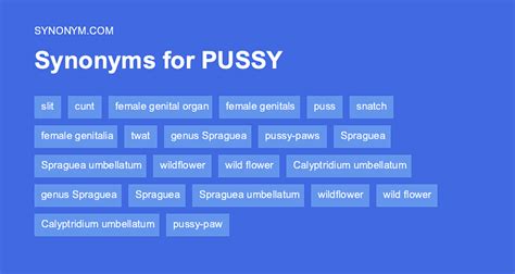 pussy synonyms|5 Synonyms & Antonyms for PUSSY 